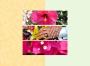 10 Wedding Book
Thursday, June 23, 2022